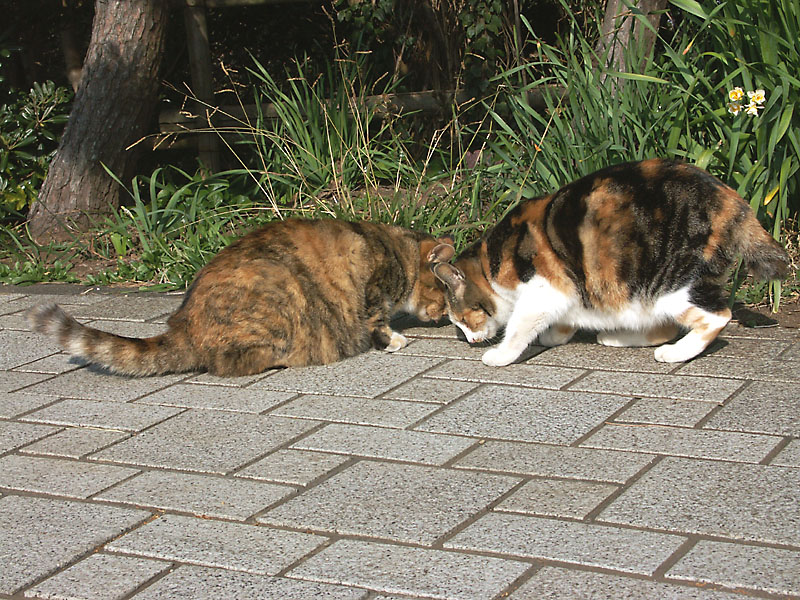 PICT0017