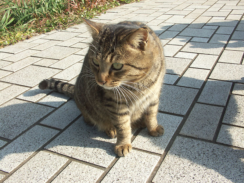 PICT0058